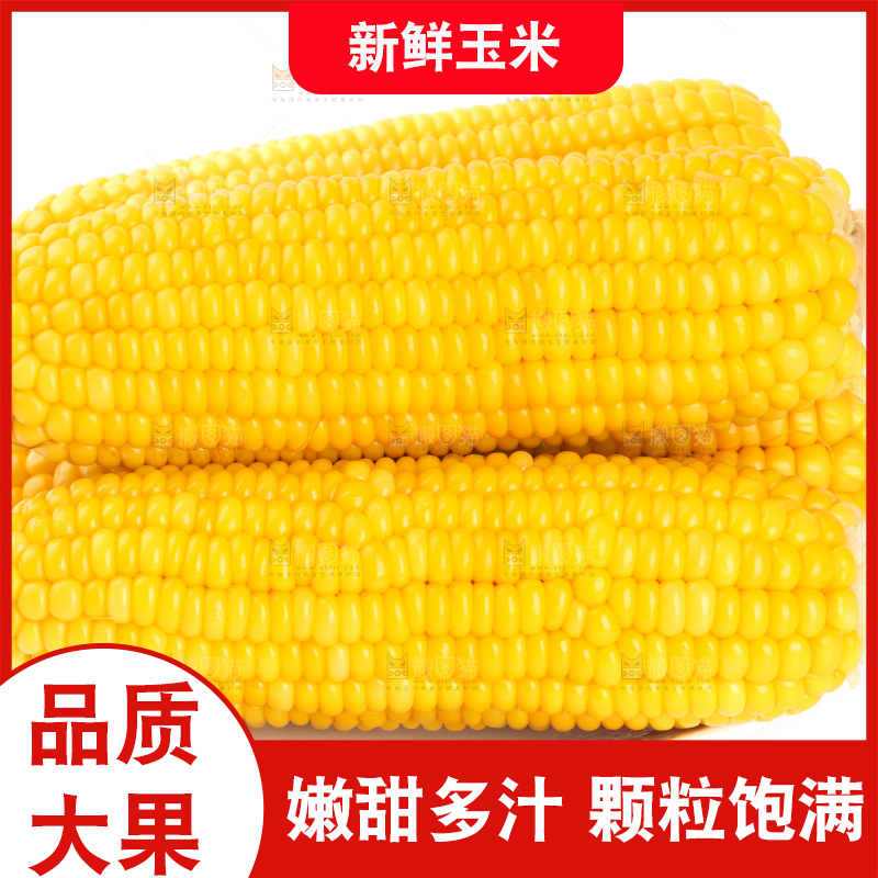 白底上放着黄玉米