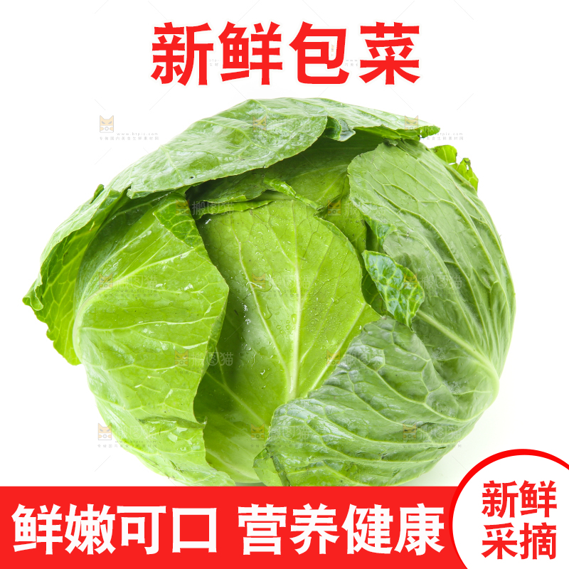 白底上的新鲜包菜