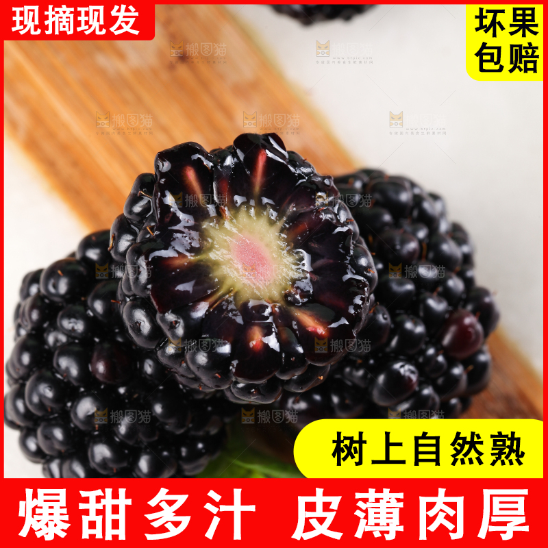 石板上的黑莓鲜果
