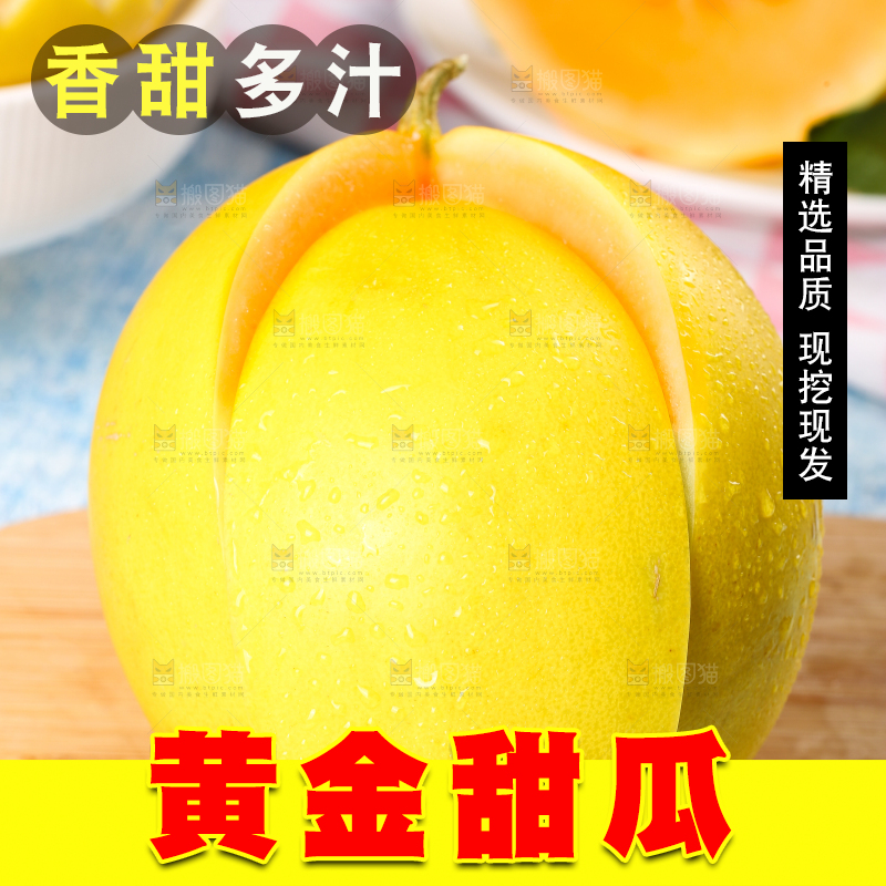 浅底上的黄河蜜瓜