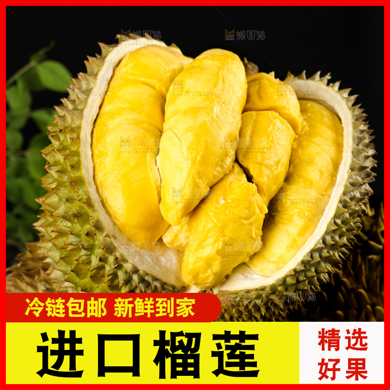 黑底上的进口甲仑榴莲