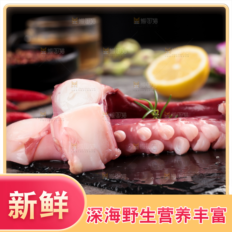 黑石板上的大鱿鱼