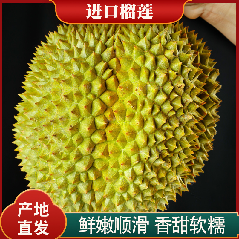 手里拿着进口甲仑榴莲