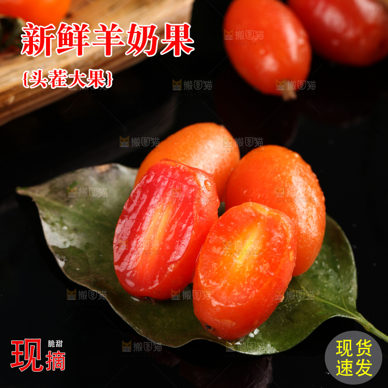 黑底上放着酸甜羊奶果