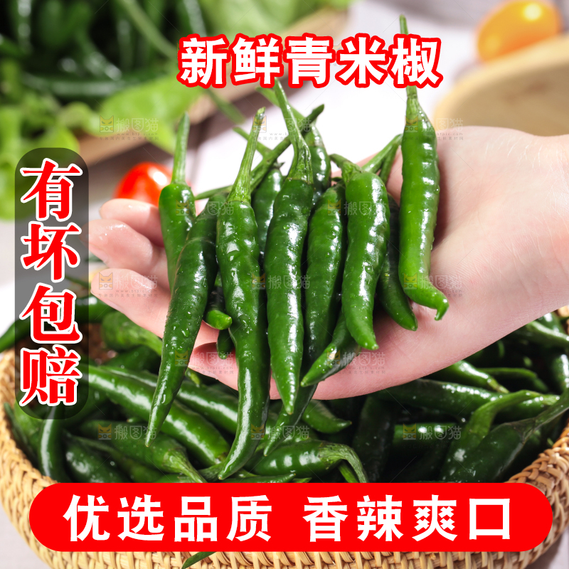 手拿新鲜青米椒
