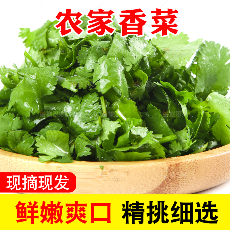 一盘香菜叶放在白底上