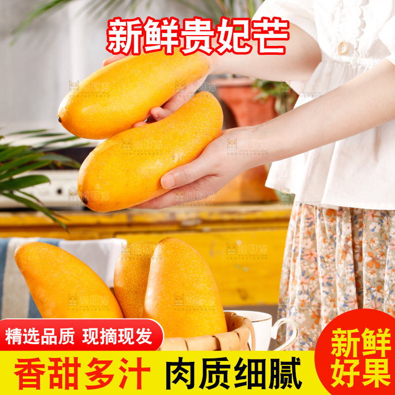 手拿新鲜金煌芒