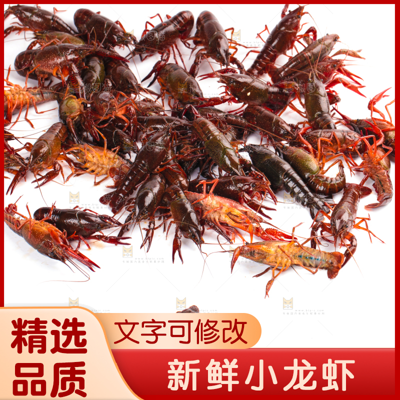 白底上放着潜江小龙虾