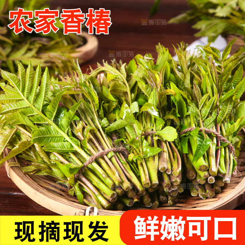 木底上放着一盘香椿芽