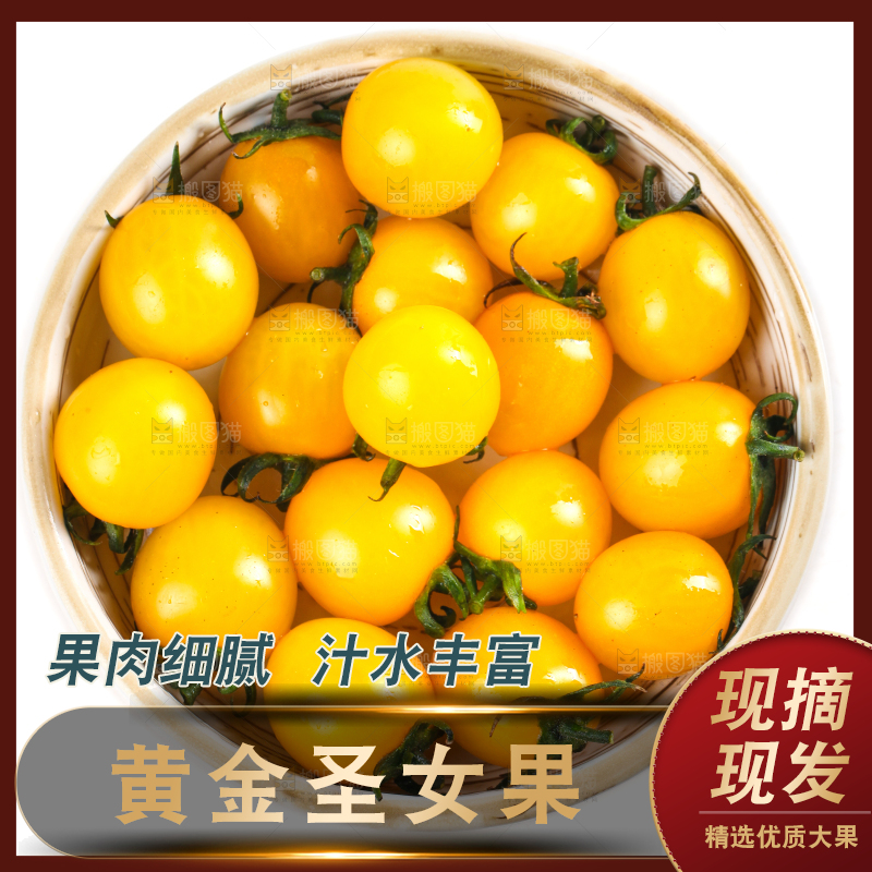 一碗新鲜圣女果放在白底上