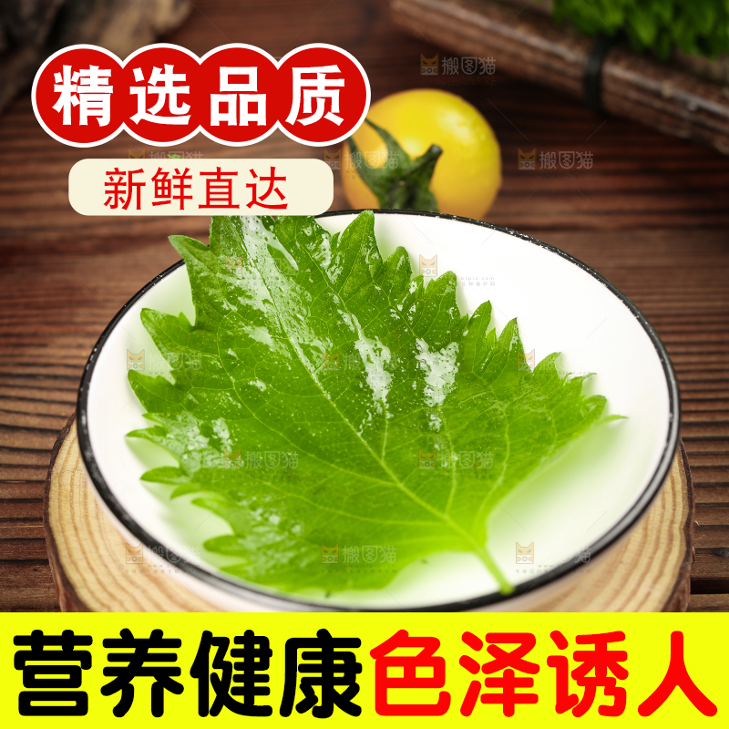 木底上的紫苏