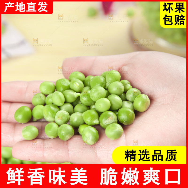 手里捧着青豌豆