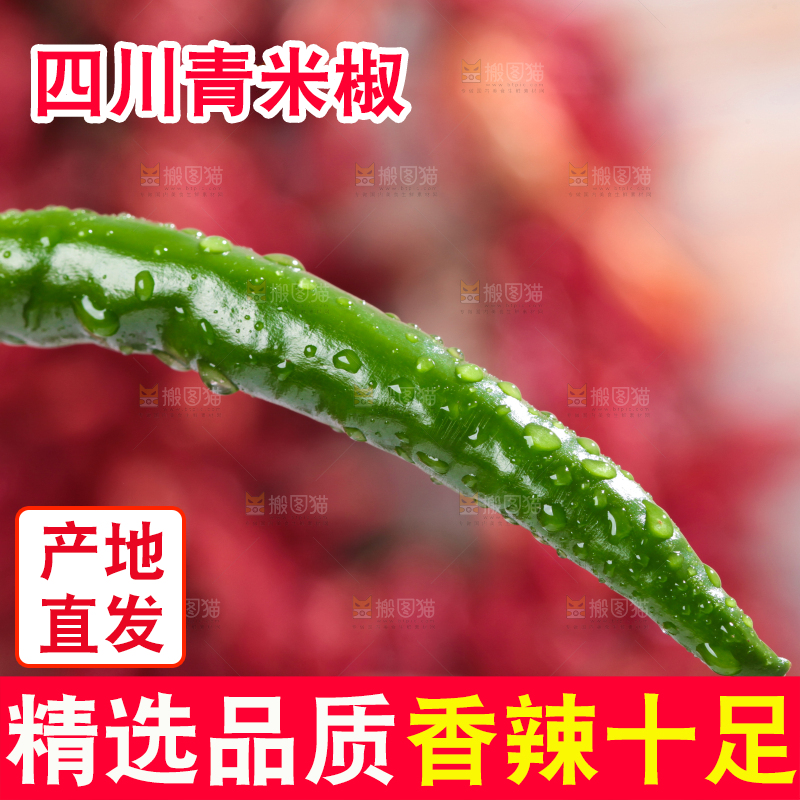 手拿新鲜青辣椒