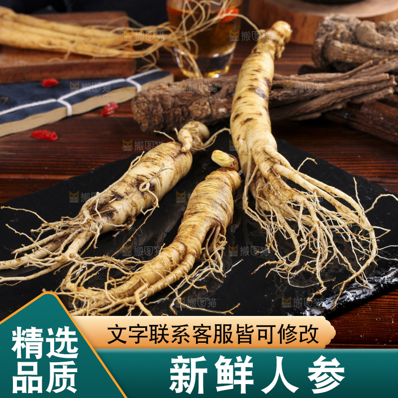 黑石板上的东北长白山人参