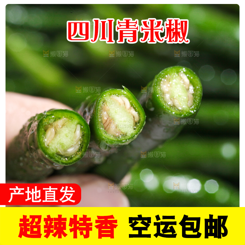 手拿新鲜青辣椒