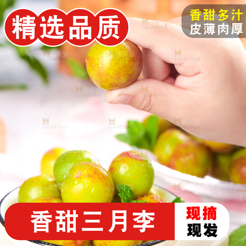 碗里装着钱排三月李
