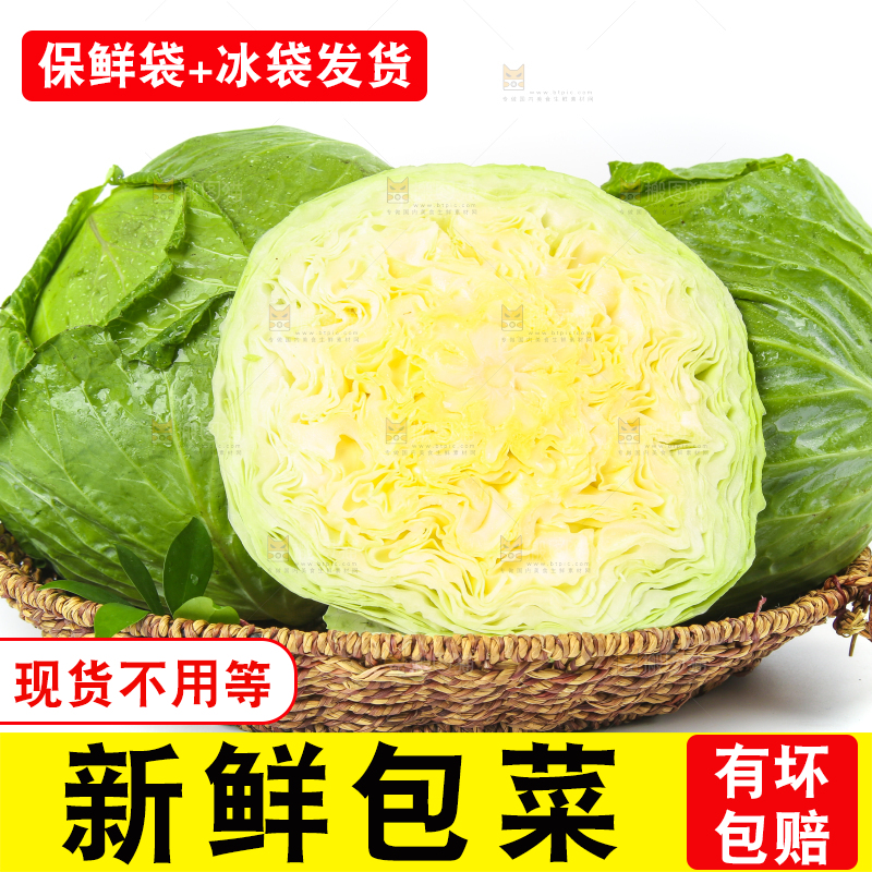白底上放着一筐切开的包菜