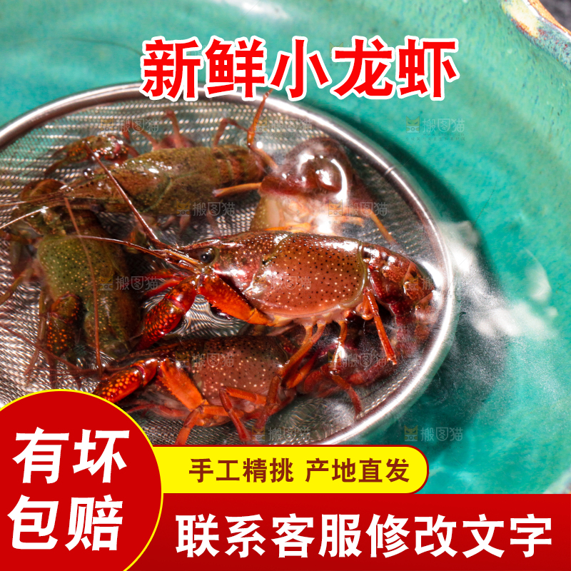 盆子里装着小龙虾