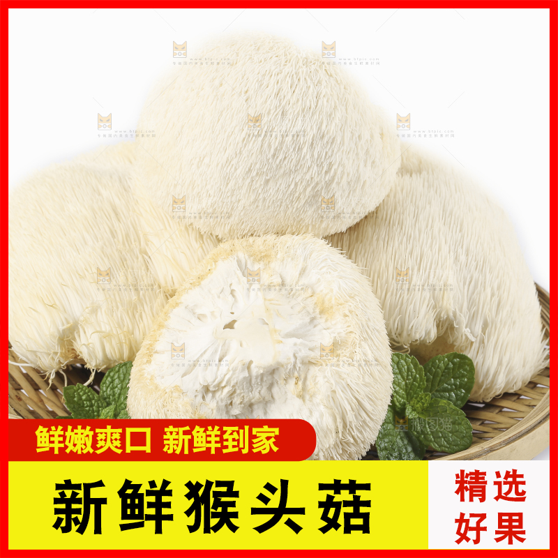 盘子里装着新鲜猴头菇
