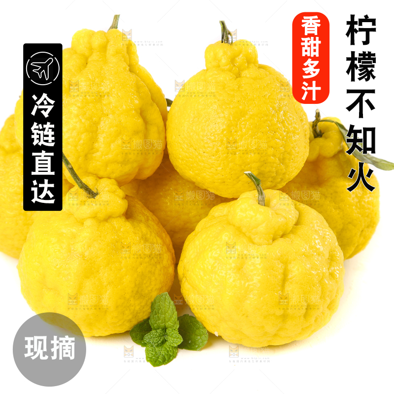 白底上放着四川柠檬不知火