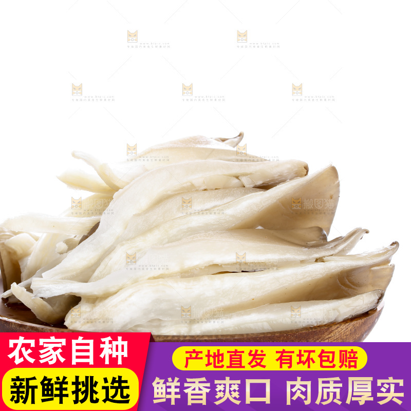 白底上放着一盘新鲜平菇
