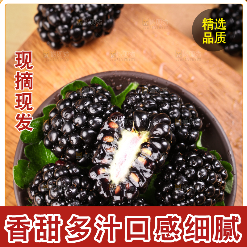 一碟黑树莓放在木底上