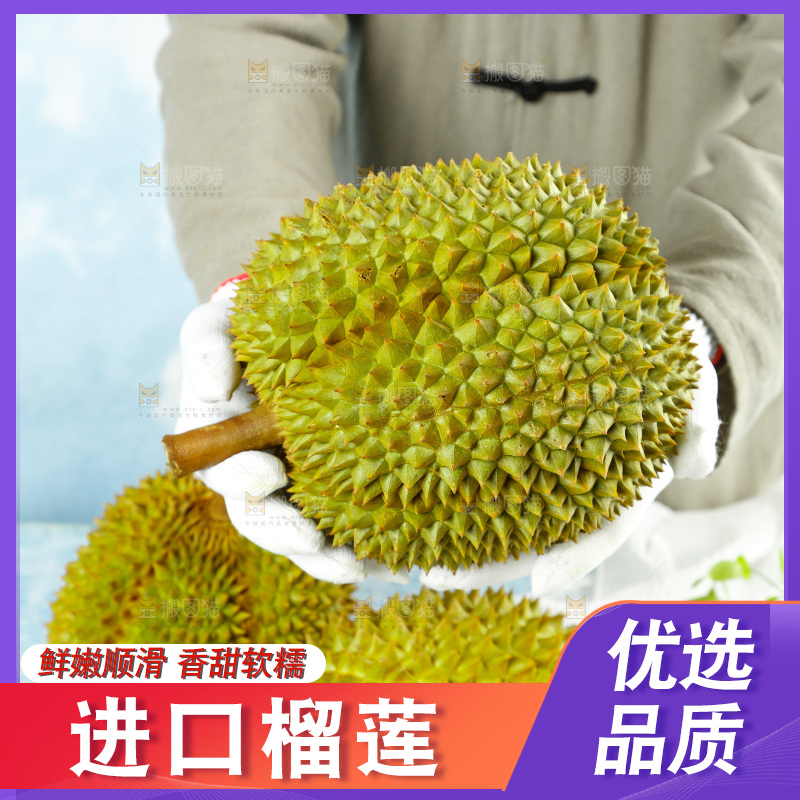 蓝底上的巴掌榴莲