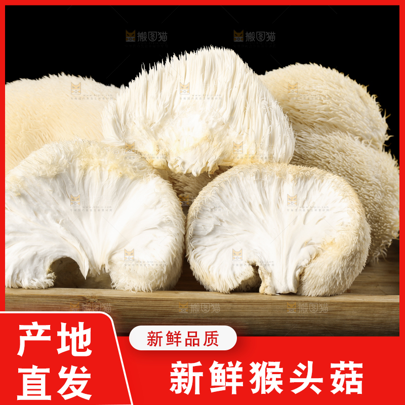 盘子里装着新鲜猴头菇