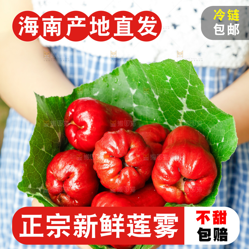 手拿新鲜莲雾