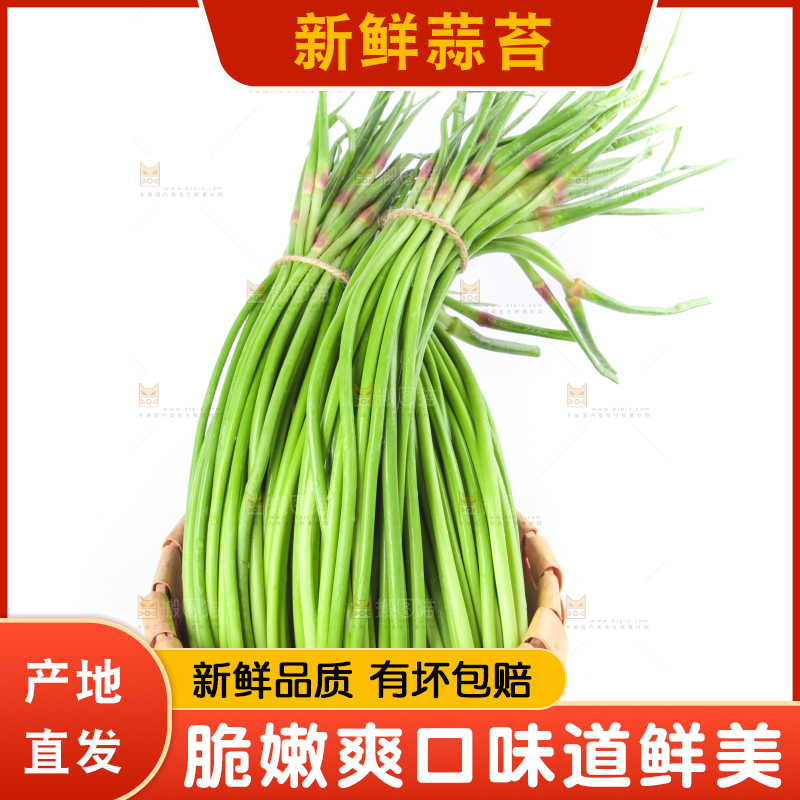 一筐蒜苔放在白底上