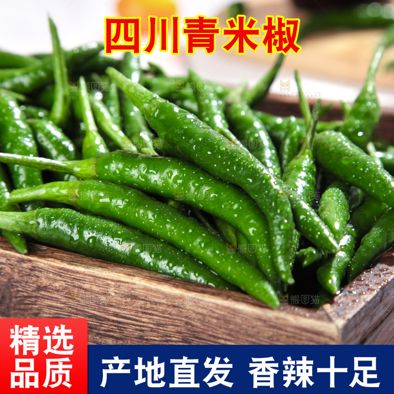 浅底上放着一盘青小米辣