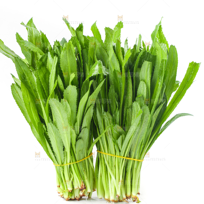 白底上的大香菜