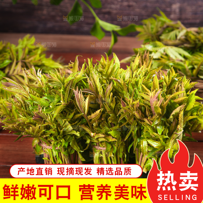 黑石板放着新鲜红香椿
