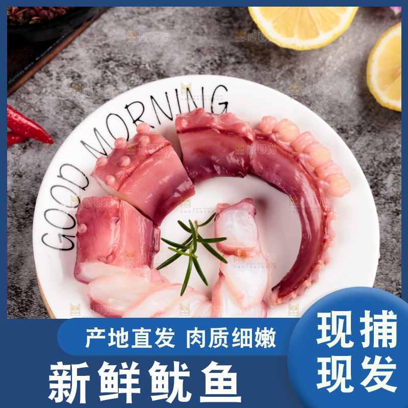 盘子里装着野生鱿鱼须