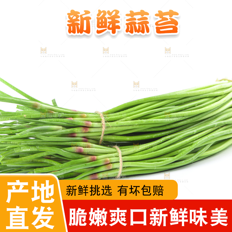 白底上的鲜嫩蒜苔