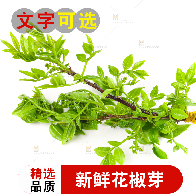 白底上放着花椒芽
