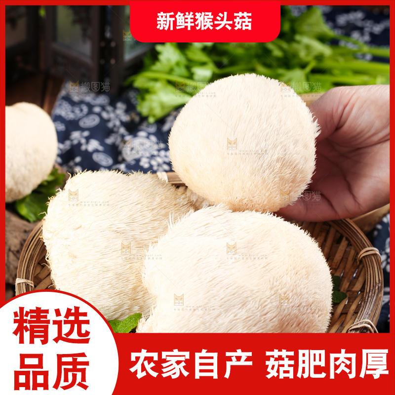 篮子里装着云南新鲜猴头菇