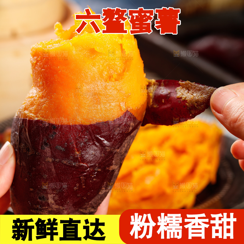 深底上的福建六鳌蜜薯
