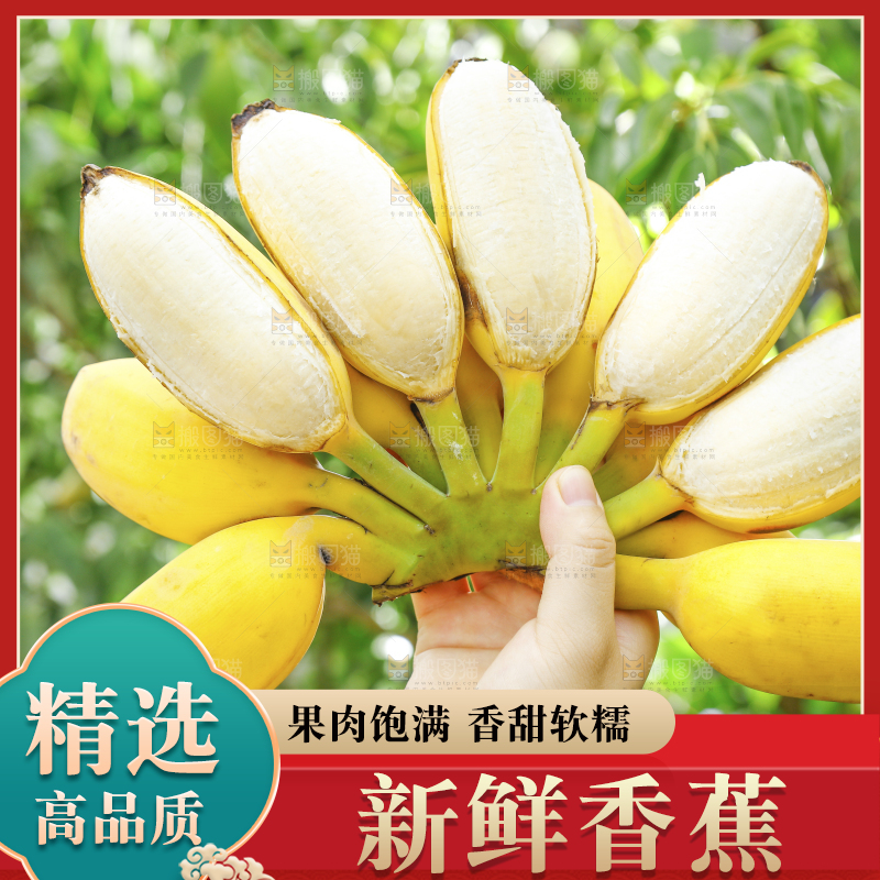 手拿剥皮的海南苹果蕉
