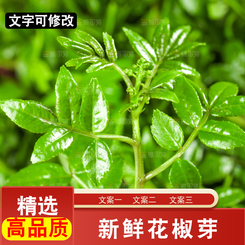 深底上花椒芽