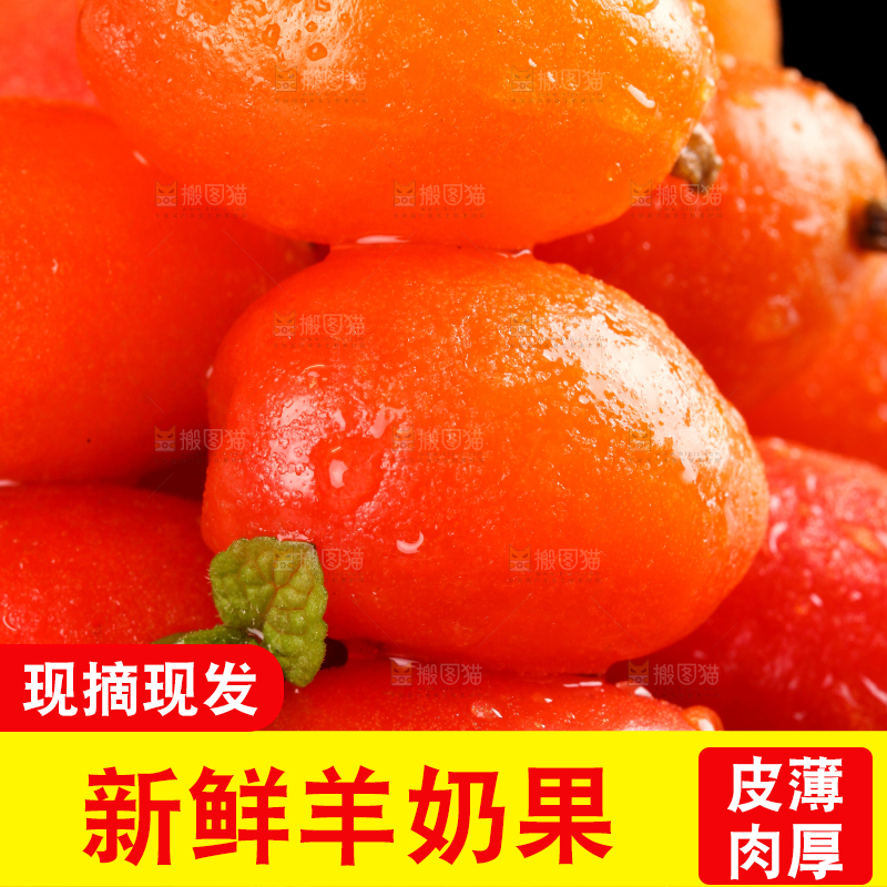 一盘野生羊奶果放在黑底上
