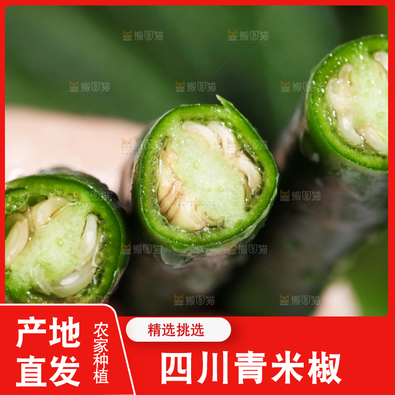 手拿新鲜青辣椒