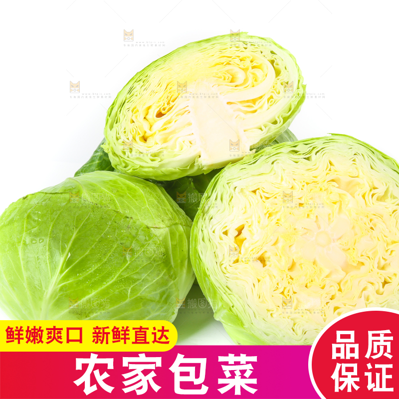 白底上放着切开的包菜