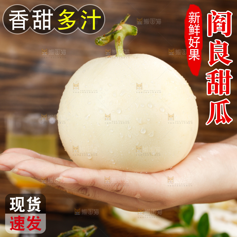 手拿新鲜阎良甜瓜