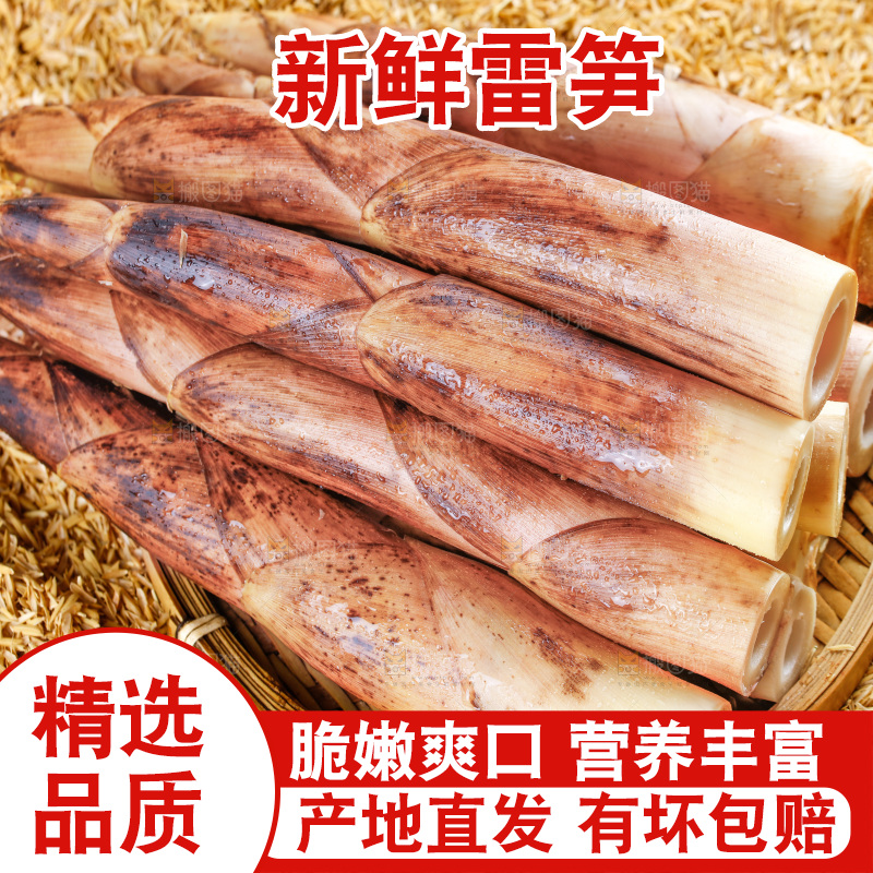 浅底上放着一盘春笋
