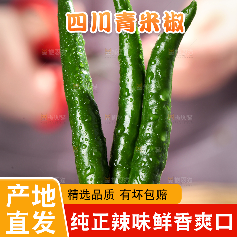 手拿新鲜青米椒