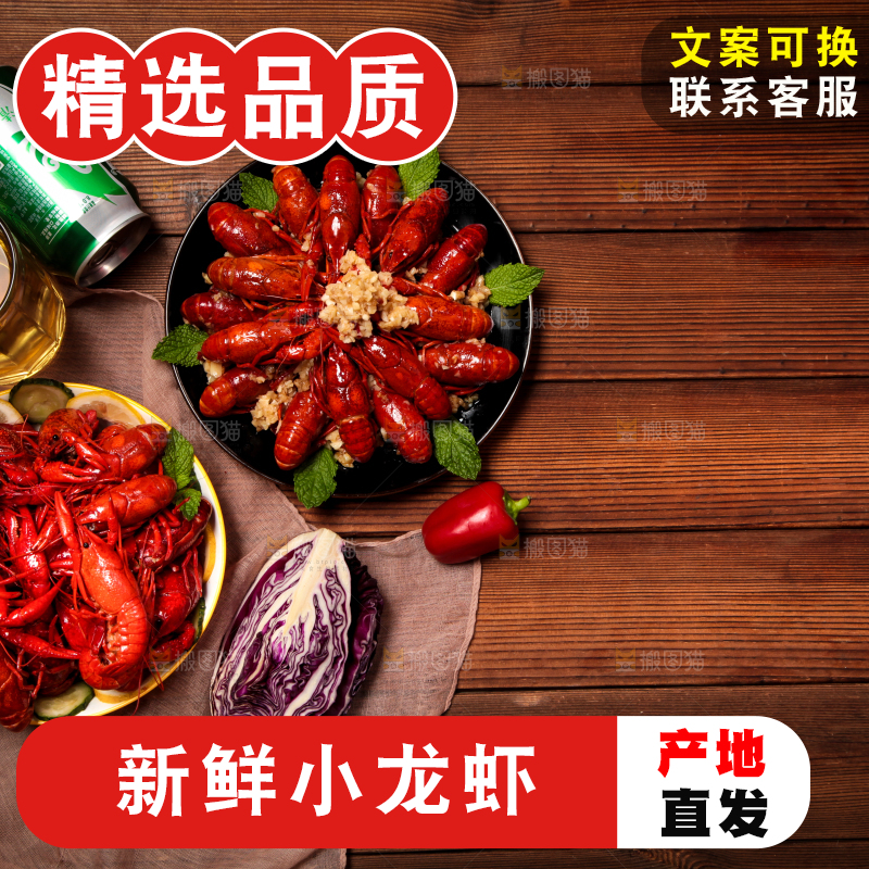 龙虾背景纹理