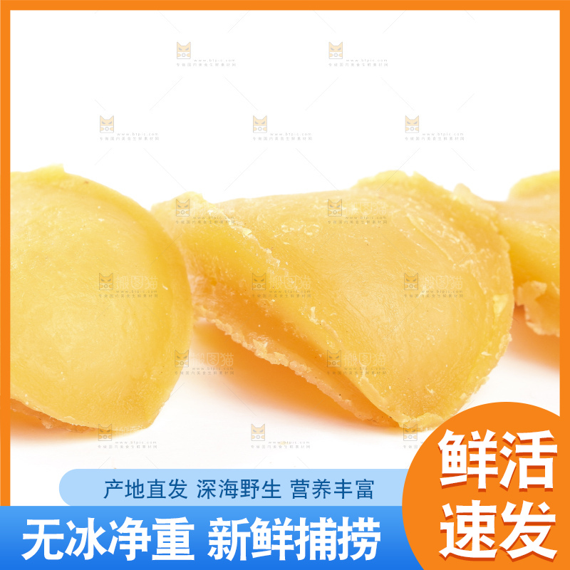 白底上的干鲍鱼