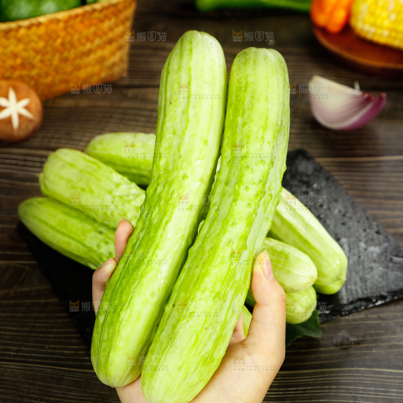 手拿新鲜黄瓜