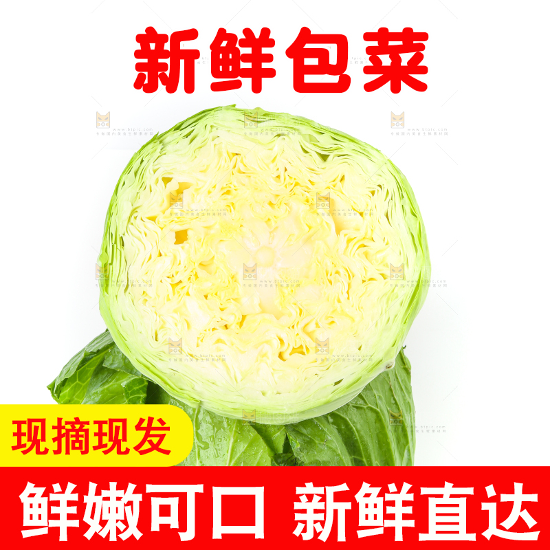 切开的包菜放在白底上